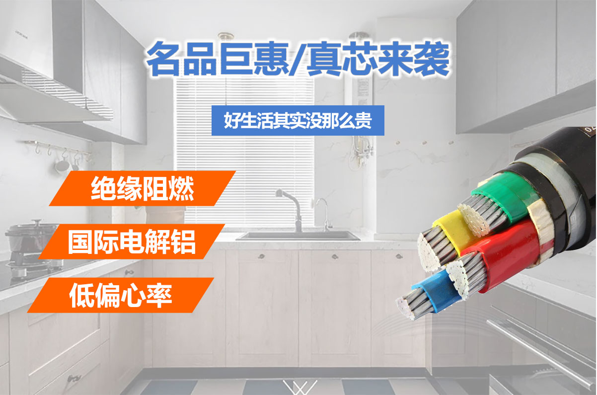 鋁芯電纜(圖3) 鋁芯電纜(圖3)